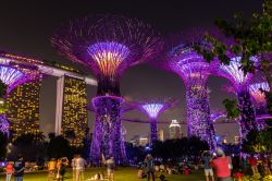 Panorama by night dei Supertrees Grove a Singapore: di sera queste strutture floreali creano una skyline di grande effetto grazie alle luci che le illuminano - © 290033540 / Shutterstock.com ...