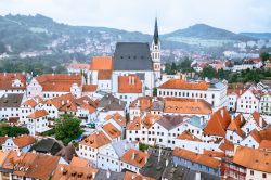 I tetti del centro storico di Cesky Krumlov, Repubblica Ceca: Veduta dall'alto - la torre della Chiesa di San Vito svetta tra i variopinti edifici del centro storico di Cesky Krumlov, che ...