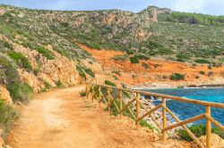 Panorama sulla costa di Levanzo, Sicilia. Una bella immagine della costa di quest'isola dell'arcipelago siciliano costituita da rocce calcaree che presentano numerose grotte - © ...