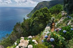 Un bel panorama da Ponta da Madrugada sull'isola di Sao Miguel, Azzorre, con ortensie fiorite - © 72861856 / Shutterstock.com