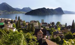 Panorama dal finestrino del treno che collega Vitznau al Monte Rigi, Svizzera. In appena 30 minuti è possibile raggiungere la vetta del Rigi dal centro del villaggio di Vitznau.


