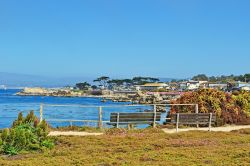 Panorama dalla Avenue of Pacific Grove, una cittadina della Contea di Monterey, famosa per le sue case Vittoriane - © Naeblys / Shutterstock.com
