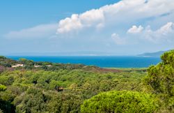 Panorama dall'alto della collina di Punta Ala: una bella veduta della vegetazione e del mare di questo tratto di Toscana in provincia di Grosseto.



