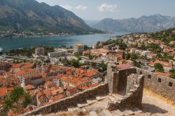Panorama dall'alto sulle Bocche di Cattaro, Montenegro. Una bella veduta delle insenature della costa del Mar Adriatico del Montenegro, caratterizzate da ampi valloni collegati fra di loro ...