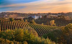 Panorama dei vigneti intorno a Costigliole d'Asti in Piemonte - © Daniela Pelazza / Shutterstock.com
