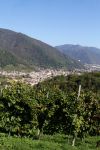 Panorama dei vigneti vicino a Combai in Veneto.