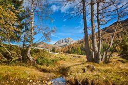 Panorama del Gartnerkofel nell'area di Hermagor durante l'autunno (Austria). Questo monte delle Alpi Carniche a due cime si trova circa 8 km a sud ovest di Hermagor-Pressegger See.
 ...