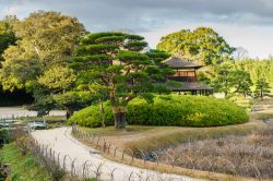 Panorama del giardino Koraku-en a Okayama, Giappone. E' uno dei tre più grandi giardini del paese (assieme a Kenroku-en e Kairaku-en): la sua costruzione risale agli inizi del XVIII° ...