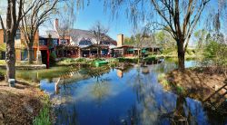 Panorama del Ground for Sculpture fondato nel 1992 a Trenton, New Jersey (USA) - © EQRoy / Shutterstock.com