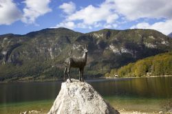 Panorama del lago di Bohinj, Alpi Giulie, Slovenia. Il più grande della Slovenia con i suoi 5350 metri di lunghezza e i 1250 di larghezza, si trova all'interno del Parco Nazionale ...