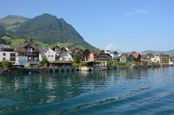 Panorama del lago di Lucerna, Svizzera: situato a 434 metri sul livello del mare, il lago è circondato da una suggestiva cornice montuosa. Lo si può circumnavigare via terra anche ...