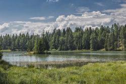 Panorama del lago di Tret, Ronzone, Val di Non, Trentino. Il bacino si estende per circa 220 metri in lunghezza e 170 in larghezza con una profondità di 7 metri. E' un lago balneabile.



 ...