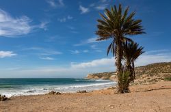 Panorama del litorale di Taghazout, Marocco. Alcuni famosi spot televisivi dedicati al surf sono stati girati proprio in queste zone, a pochi chilometri di distanza dal centro del villaggio.

 ...