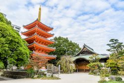 Panorama del tempio di Tocho-ji a Fukuoka, Giappone.
