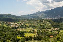 Panorama della campagne intorno a Camaiore, Toscana. Sullo sfondo le Alpi Apuane