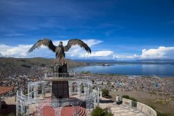 Panorama della città di Puno (Perù) con la statua dedicata al condor. Questa specie di avvoltoio è uno dei più grandi uccelli al mondo in grado di volare: vanta un'apertura ...