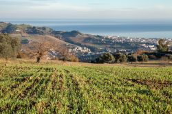 Panorama della cittadina di San Benedetto del Tronto (Marche) da una collina - © 240744346 / Shutterstock.com