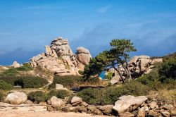 Panorama della costa rocciosa di Ploumanac'h in Bretagna (Francia) 