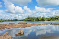 Panorama della foresta tropicale con le rapide lungo il fiume Suriname nei pressi di Menimi, Djemongo (Sud America).
