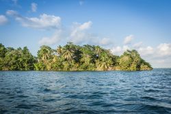 Panorama della laguna Bacalar a Chetumal, Quintana Roo, Messico. Siamo nella parte sud orientale del Messico. In questa immagine, palme e una piccola giungla sulla laguna.

