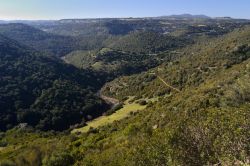 Panorama della vallata del fiume Araxisi in Sardegna, tra Ruinas e Samugheo