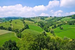Panorama delle colline di Torrechiara in Emilia-Romagna ...