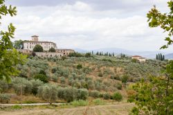 Panorama delle dolci colline di Impruneta vicino a Firenze, in Toscana