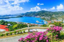 Panorama dell'isola di St.Thomas, Caraibi (USA): ex colonia danese, è famosa per le caratteristiche da tipica isola esotica ma anche per essere stata un tempo rifugio per pirati.

 ...