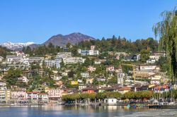 Panorama di Ascona, Lago Maggiore, Svizzera. Importante centro turistico a livello internazionale, Ascona è famosa per il clima mite, la bellezza del suo borgo, la grande spiaggia e la ...