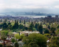 Panorama di Oakland, nel nord della California. Sorge sulla costa est della baia di San Francisco adagiata contro le colline di Berkeley e a contatto con 5 parchi regionali di East Bay.
