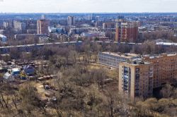 Panorama di Pushkin la città nei sobborghi meridionali di San Pietroburgo - © bellena / Shutterstock.com