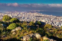 Panorama di Trapani, Sicilia - Un suggestivo scorcio panoramico della città di Trapani che grazie ad una eccellente posizione geografica e paesaggistica è stata capace in antichità ...