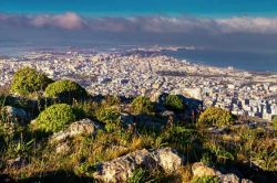 Panorama di Trapani, Sicilia - Un suggestivo scorcio panoramico della città di Trapani che grazie ad una eccellente posizione geografica e paesaggistica è stata capace in antichità ...