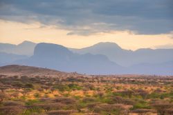 Panorama di una pianura di arbusti nel deserto di Kaisut, Marsabit, Kenya: sullo sfondo le montagne.

