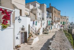 Panorama estivo della città di Monopoli, Puglia. Il territorio di Monopoli è costituito da ben 99 contrade e si estende su una superficie di oltre 150 chilometri quadrati - © ...