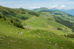 Panorama estivo delle Alpi svizzere sopra Champery. Prati verdi, strade tortuose e foreste con montagne come sfondo.

