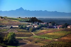 Panorama estivo delle campagne di Costiglile d'Asti: sullo sfondo il Monviso la montagna dove nasce il fiume Po