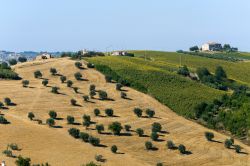 Panorama estivo nel territorio di Atri in Abruzzo