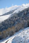 Panorama innevato con foresta di pini a Bagneres-de-Luchon, Francia.
