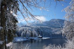Panorama invernale del lago di Bohinj, Slovenia. Meta turistica sia estiva che invernale, questo lago è un'oasi di pace e tranquillità.




