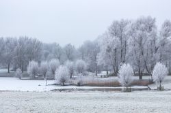 Panorama invernale del parco De Wijdse Weide a Zoetermeer, Olanda, con il lago ghiacciato e gli alberi ricoperti di neve.
