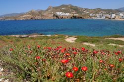 Scorcio panoramico dell'isola di Naxos, Grecia - Il paesaggio di Naxos con il granito del suo territorio, le acque dell'Egeo e la ricca vegetazione © kkaplin / Shutterstock.com