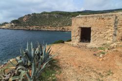 Scorcio panoramico della costa di Levanzo, Sicilia. La caratteristica conformazione geomorfologica dell'isola offre grotte di grande interesse storico archeologico - © Marcin Krzyzak ...