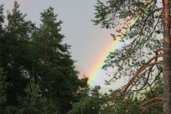 Panorama naturale a San Vigilio di Marebbe, Trentino Alto Adige. Dietro le fronde degli alberi, quasi per magia, compaiono le sfumature di un arcobaleno.
