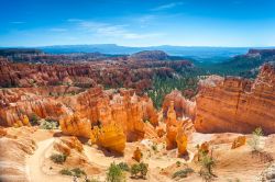 Panorama of Bryce Canyon National Park in Utah, USA. Si tratta di un enorme anfiteatro originatosi dall'erosione del settore orientale dell'Altopiano di Paunsaugunt ed è celebre ...