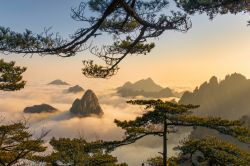 Panorama sopra le nuvole nei monti Huangshan, regione di Anhui, Cina.
