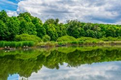 Panorama su una piscina naturale circondata da boschi e foreste nei pressi di Sopron, Ungheria.




