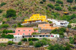 Panorama sul borgo di Alicudi, Sicilia - Un gruppo di abitazioni dai colori sgargianti costruite sul pendio di quest'isola di natura vulcanica, ricca e fertile © EugeniaSt / Shutterstock.com ...