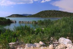 Panorama sul lago Vransko nei pressi di Pirovac, Croazia. Il lago fa parte di un parco naturale dichiarato riserva ornitologica nel 1983.
