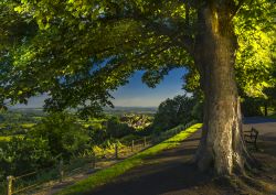 Panorama sulla Gold Hill in una mattina di fine estate, Dorset, Inghilterra. Una suggestiva immagine scattata da dietro le fronde di un albero: in basso si intravedono città e chiesa.

 ...
